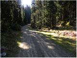 Bitenjska planina - Planina Pečana